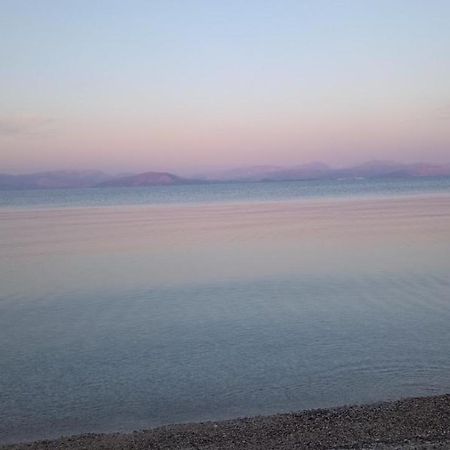 Lithino Apartments - 5Min From The Beach آغيوس يوانيس بيريستريون المظهر الخارجي الصورة