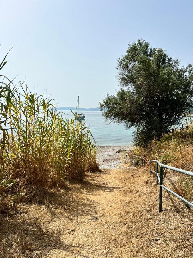 Lithino Apartments - 5Min From The Beach آغيوس يوانيس بيريستريون المظهر الخارجي الصورة